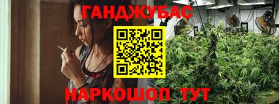 стаф Ливны