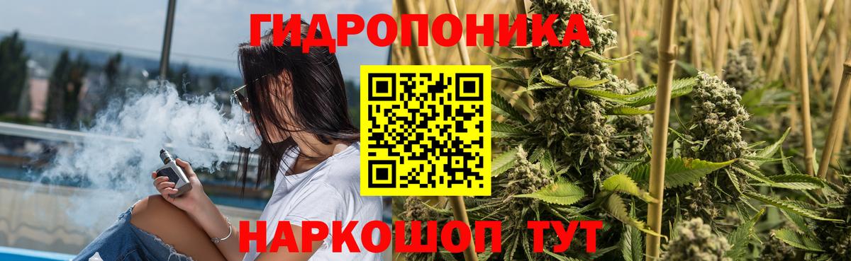 Тимашёвск  Бошки Шишки Amnesia  Бошки марихуана OG Kush  Каннабис OG Kush  Конопля план  Вход с VPN 